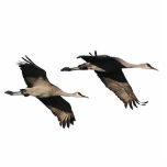 Sandhill Cranes Ornament<br><div class="desc">Cool Sandhill Cranes flying are on this Christmas Tree or Hanging Ornament.</div>