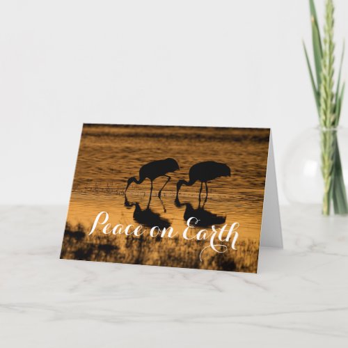 Sandhill Cranes Peace on Earth Holiday Card