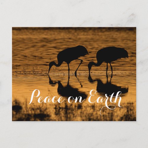 Sandhill Cranes Peace on Earth Postcard