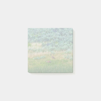Sandhill Cranes Post-it Notes