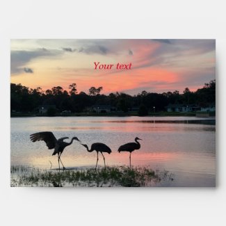 Sandhill cranes silhouette at sunset at the lake