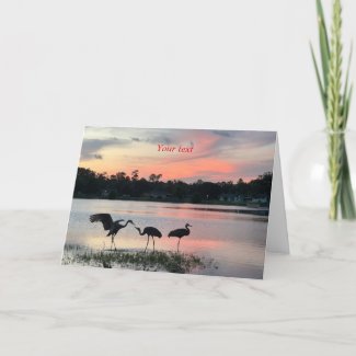 Sandhill cranes silhouette at sunset at the lake