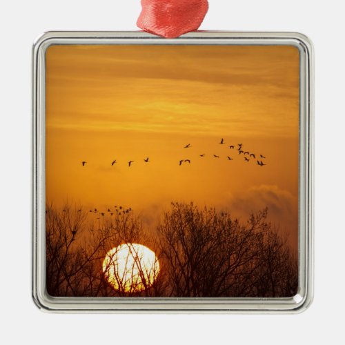 Sandhill cranes silhouetted aginst rising sun metal ornament