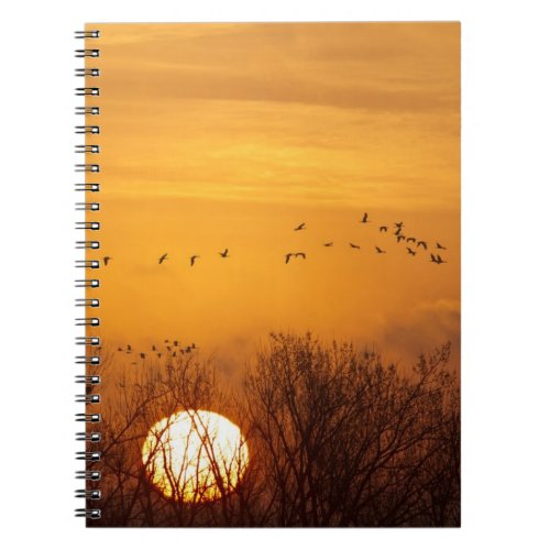 Sandhill cranes silhouetted aginst rising sun notebook