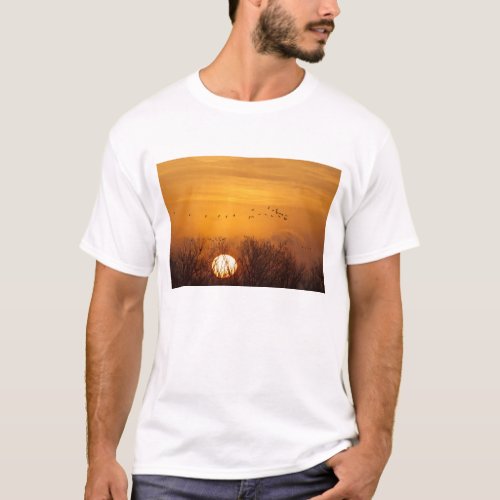 Sandhill cranes silhouetted aginst rising sun T_Shirt