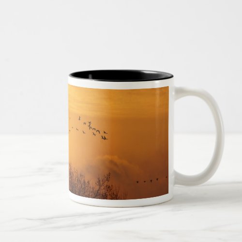 Sandhill cranes silhouetted aginst rising sun Two_Tone coffee mug