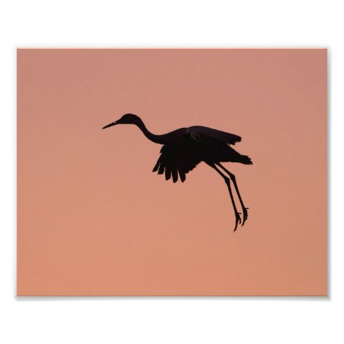 Sandhill silhouette on a pink sunset sky photo print