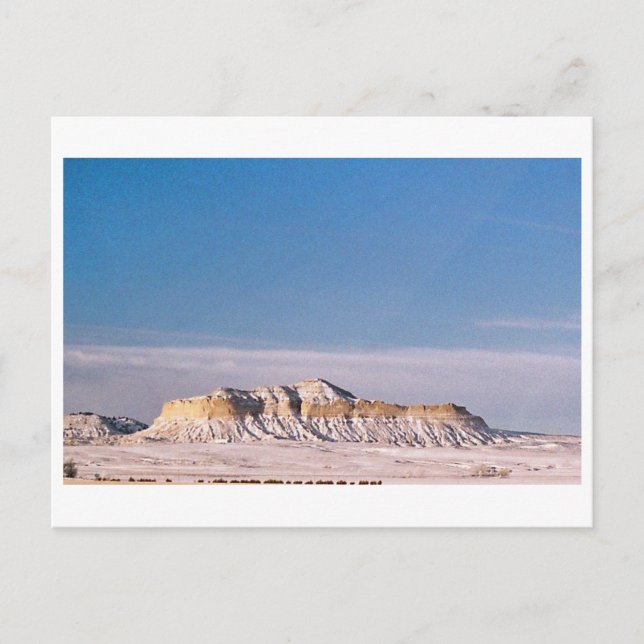 SANDHILLS POSTCARD (Front)