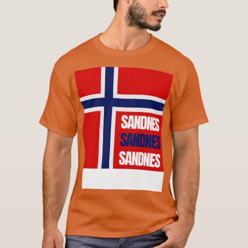 Sandnes City in Norwegian Flag Colors T_Shirt