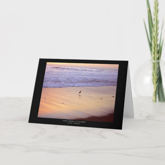 Sandpiper at Sunset: Ventura Beach Card (Front)