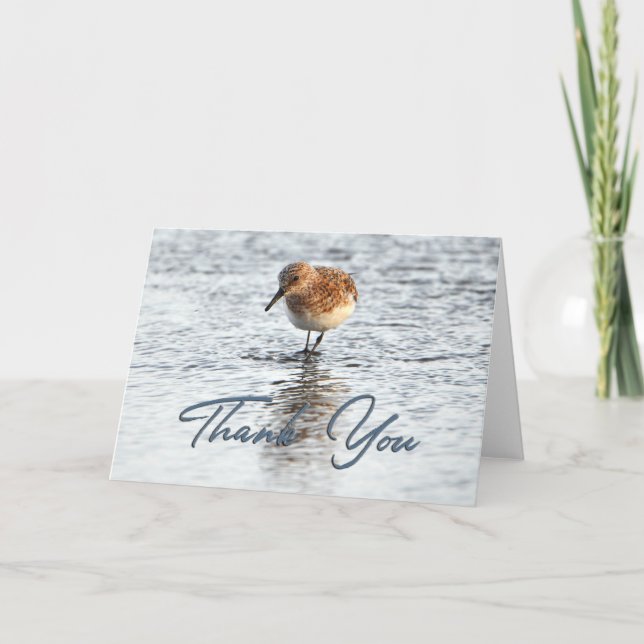 Sandpiper Beach Photo Thank You Card (Front)