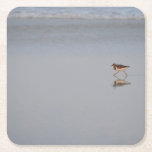 Sandpiper Bird Beach Nature Coastal Photograph Square Paper Coaster<br><div class="desc">Delightful single Sandpiper runs along the shore reflecting his mirror image on wet sand at sunset. Perfect wildlife photograph for all beach lovers!</div>