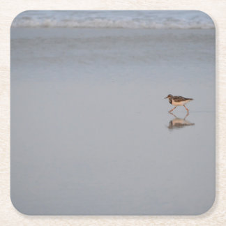 Sandpiper Bird Beach Nature Coastal Photograph Square Paper Coaster