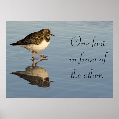 Sandpiper bird motivational Poster