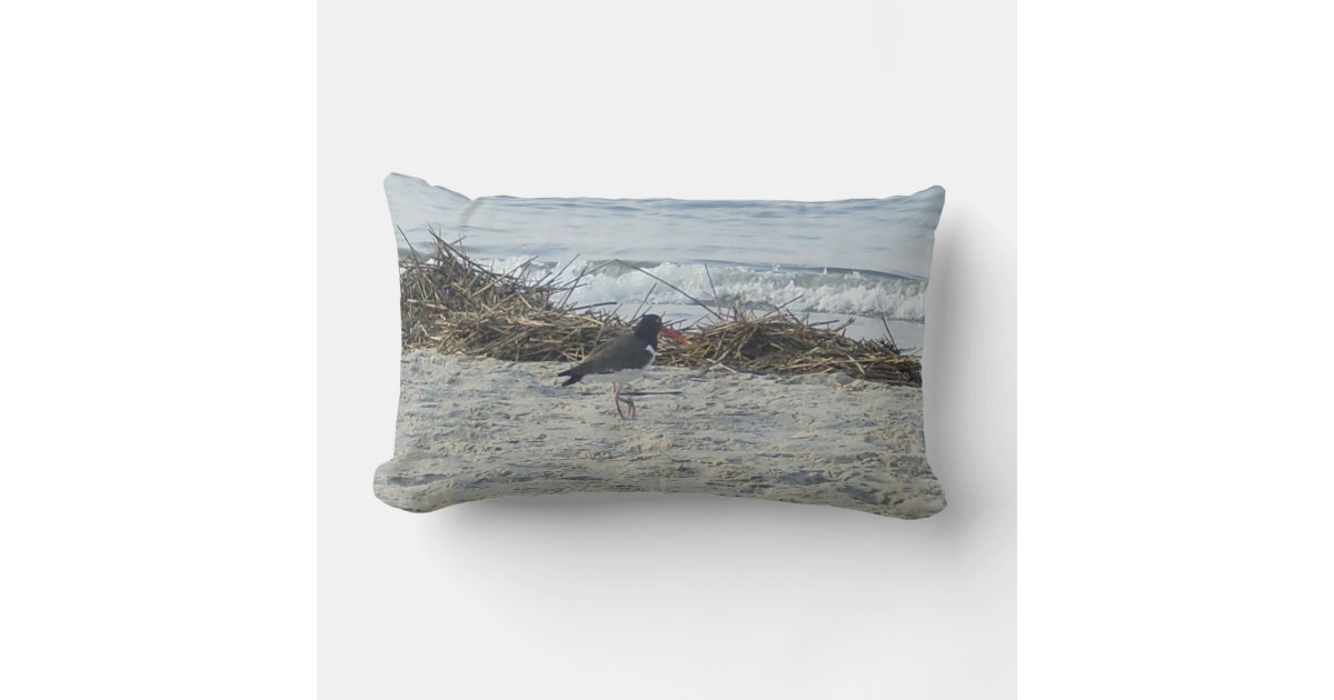 Sandpiper Bird Pillow at the beach. | Zazzle