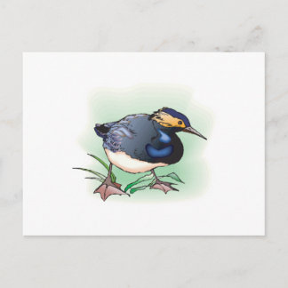 sandpiper bird postcard