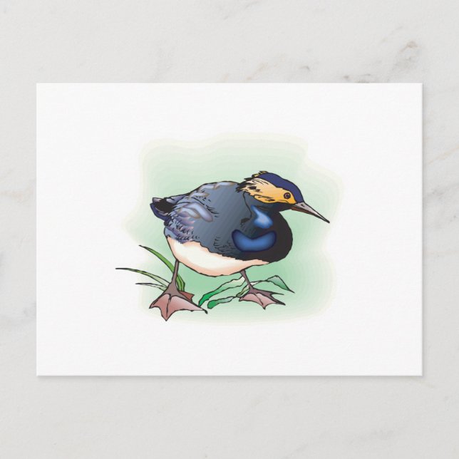sandpiper bird postcard (Front)