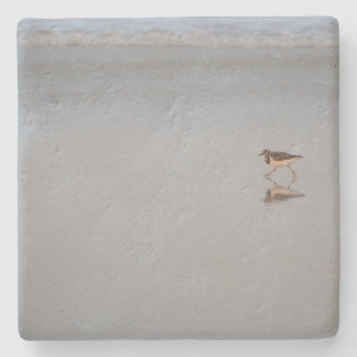Sandpiper Bird Wildlife Beach Nature Photo Stone Coaster