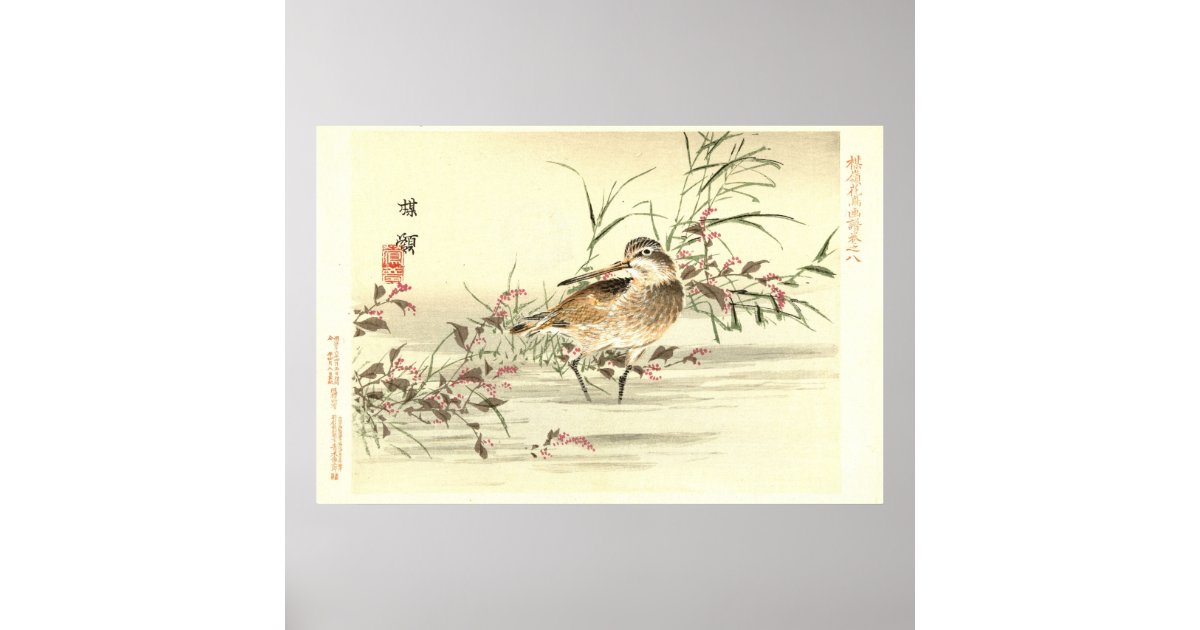 Sandpiper In Water Vintage Japanese Oriental Art Poster | Zazzle