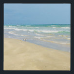 Sandpiper on the Seashore | Beautiful Beach Faux Canvas Print<br><div class="desc">This beautiful seaside photograph in pretty Port Aransas, Texas features lovely blue green waves rolling up onto the shore of the beach. The pretty light blue of the sunny sky and ocean along with the light sand of the beach make the perfect beach house decor for beach home living room...</div>