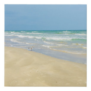 Sandpiper on the Seashore   Beautiful Beach Faux Canvas Print