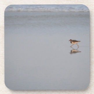 Sandpiper Running Along The Beach Beverage Coaster
