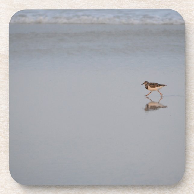 Sandpiper Running Along The Beach Beverage Coaster (Front)