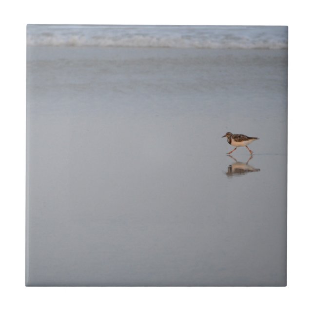 Sandpiper Running Along The Beach Ceramic Tile (Front)
