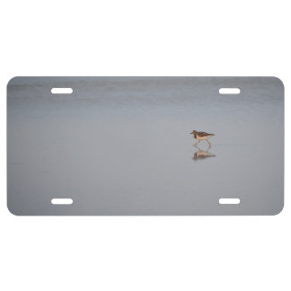 Sandpiper Running Along The Beach License Plate