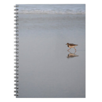 Sandpiper Running Along The Beach Notebook