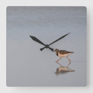 Sandpiper Running Along The Beach Square Wall Clock