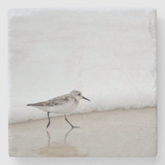 Sandpiper Shorebird Beach House Stone Coaster