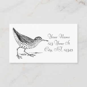 Sandpiper Shorebird Thunder_Cove Business Card