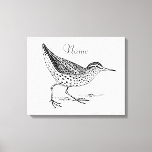 Sandpiper Shorebird Thunder_Cove  Canvas Print
