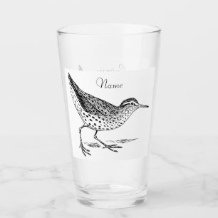 Sandpiper Shorebird Thunder_Cove  Glass