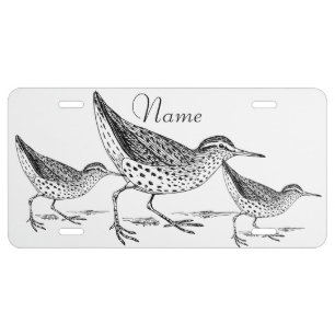 Sandpiper Shorebird Thunder_Cove License Plate