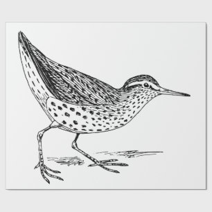 Sandpiper Shorebird Thunder_Cove Wrapping Paper