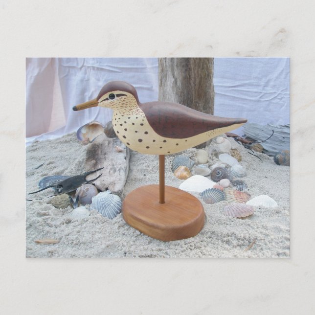Sandpiper "Slick" Woodcarving Postcard (Front)
