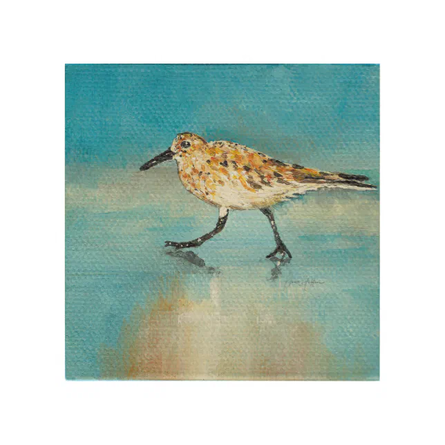 Sandpiper Wading Shorebird Wood Wall Art | Zazzle