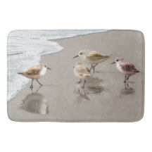 Sandpipers at the Shoreline