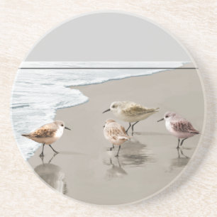 Sandpipers at the Shoreline Drink Coaster