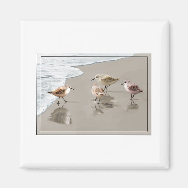 Sandpipers at the Shoreline Magnet (Front)