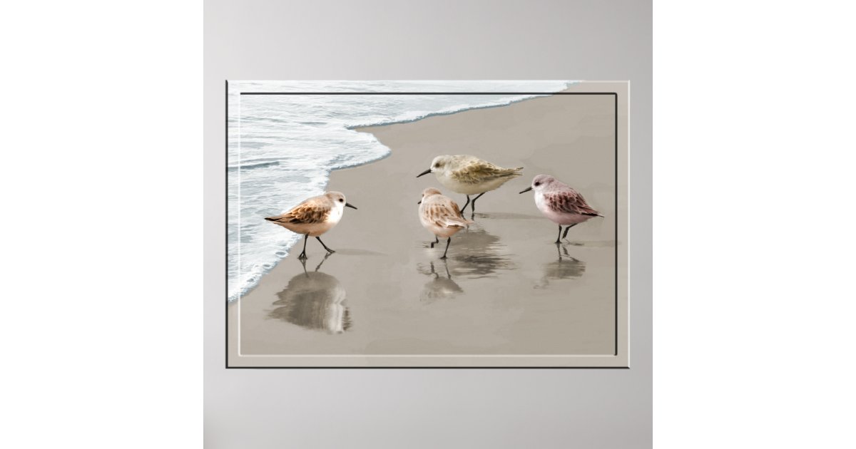 Sandpipers at the Shoreline Poster | Zazzle