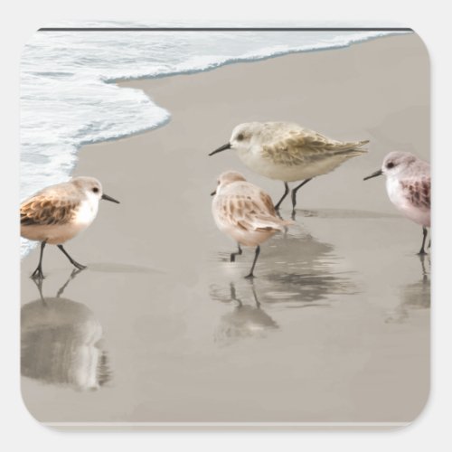 Sandpipers at the Shoreline Square Sticker