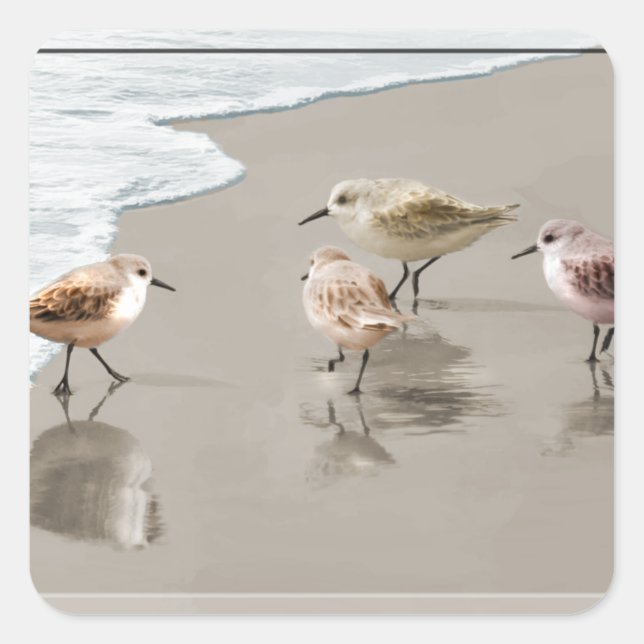 Sandpipers at the Shoreline Square Sticker (Front)