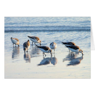 Sandpipers Cards