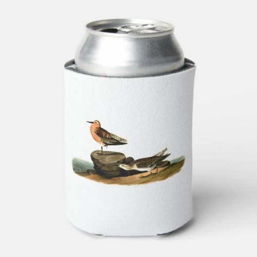 Sandpipers on Beach Drawing _ Vintage Illustration Can Cooler