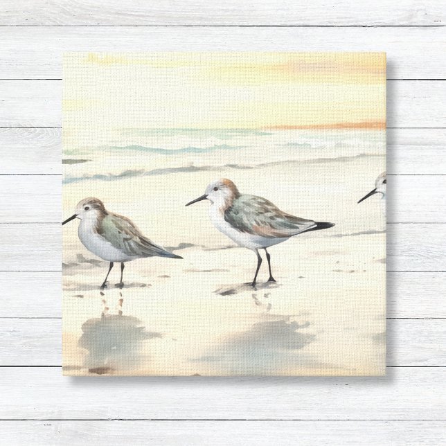 Sandpipers on the Beach Canvas Print (Minimalist Sandpipers on Beach Coastal Beach Wall Art Canvas)
