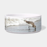 Sandpipers on the Beach Photo Ceramic Pet Bowl<br><div class="desc">Bring the beach to your pet's food bowls with this sweet sandpipers on the beach photo pet bowl.</div>