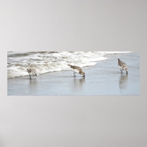 Sandpipers on the Beach Photo Poster Print